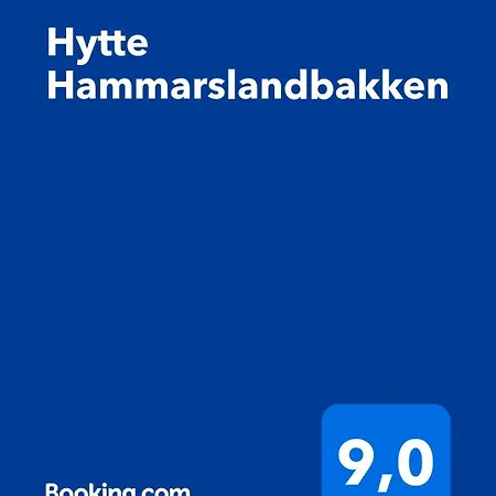 Hammarslandbakken Lodge *