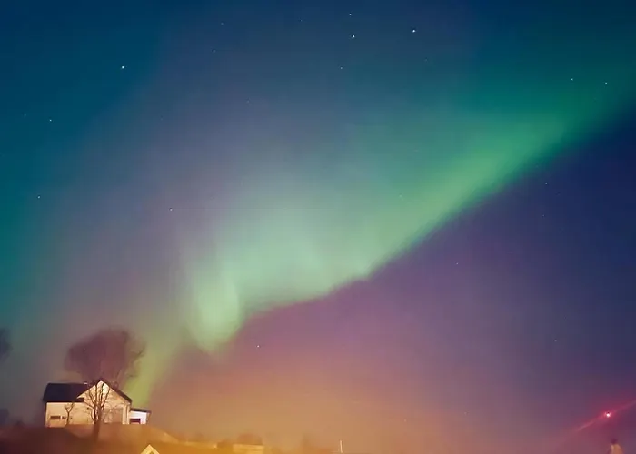 Lodge Hammarslandbakken